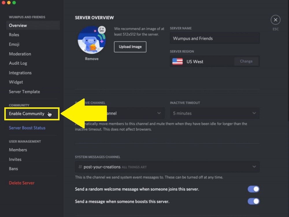 Сообщество Discord Enable