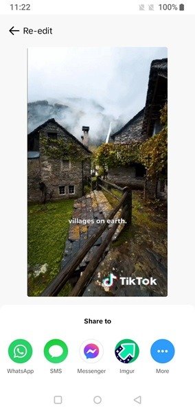 Делитесь вариантами GIF в приложении TikTok для Android.