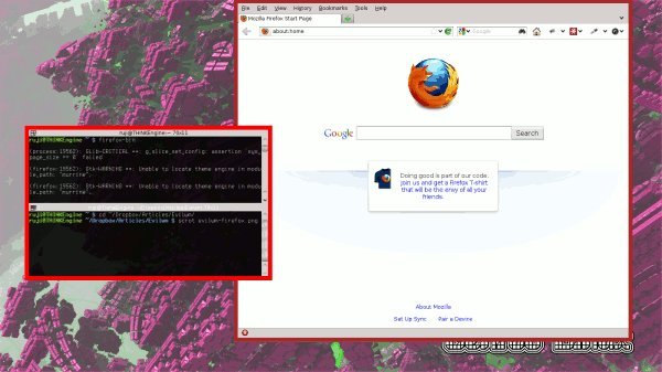 evilwm-firefox