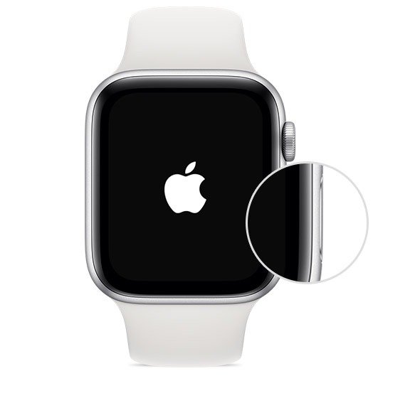Найти все Боковая кнопка Apple Watch