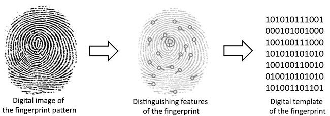 Анализ сканеров отпечатков пальцев Encoding.png
