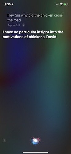 Забавные вещи, которые спросят у Siri для детей Курица