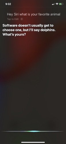 Забавные вещи Спросите у Siri Любимое животное детей