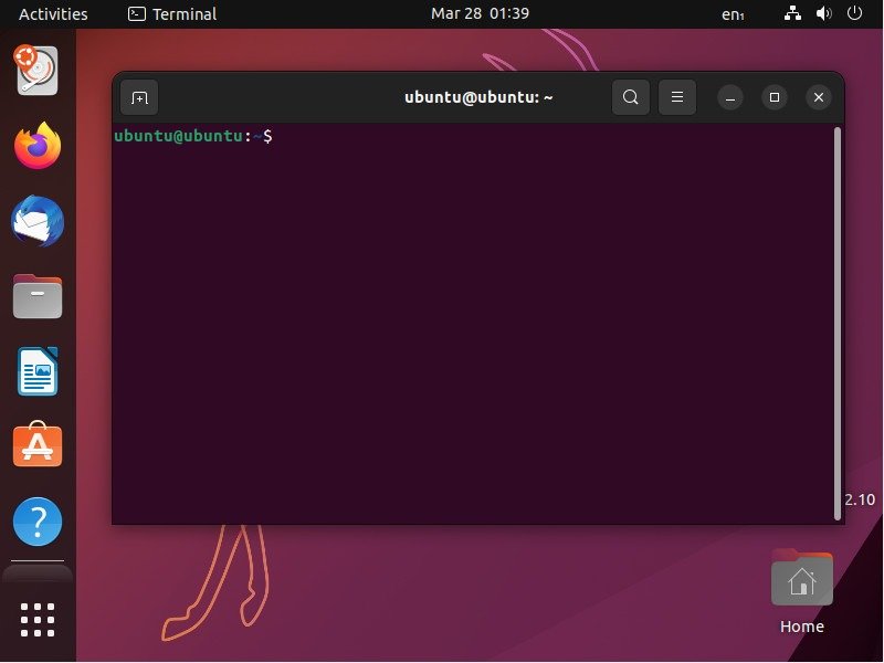 Скриншот среды Ubuntu Live.