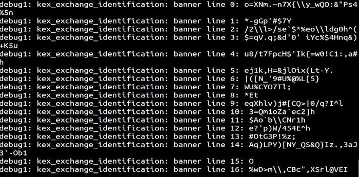 Тест Honeypot SSH