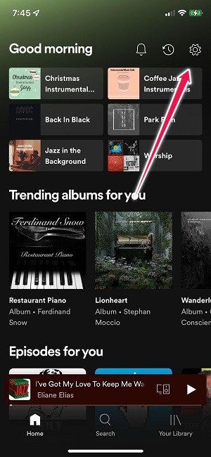 Как добавить локальные файлы в настройки Spotify iOS