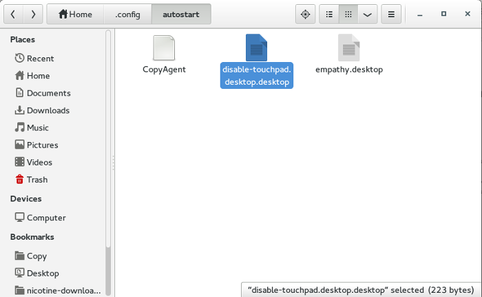 как-отключить-тачпад-автоматически-файл-на-рабочем столе-в-папке-автозапуска