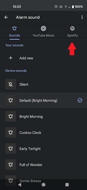 Как установить будильник Spotify Google Выберите Spotify