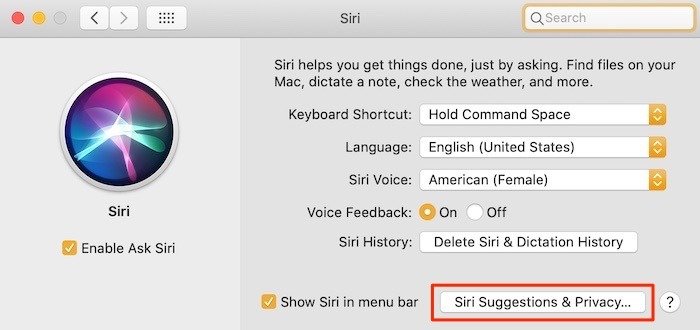 Как использовать предложения Siri в настройках Mac
