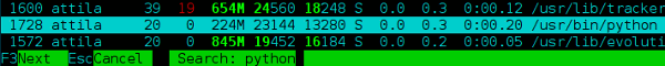 htop-поиск