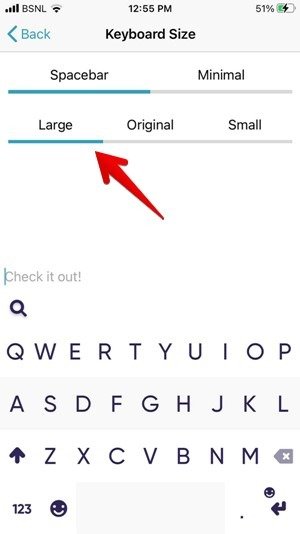 Увеличение размера iPhone Fleksy