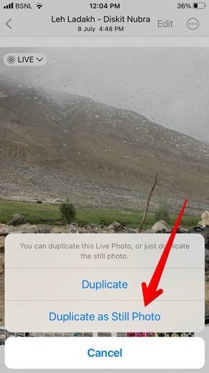 Iphone Live Photo Дубликат неподвижного изображения