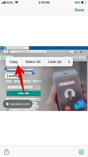 Копировать текст изображения iPhone Safari