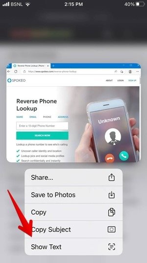 Iphone Safari Изображение Показать Текст