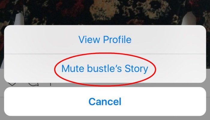 instagram-mute-история