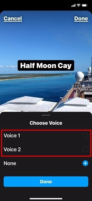 Голосовые ролики Instagram Выбор голоса