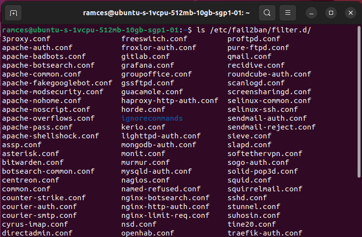 Окно терминала, показывающее файлы фильтров, доступные для Fail2ban.