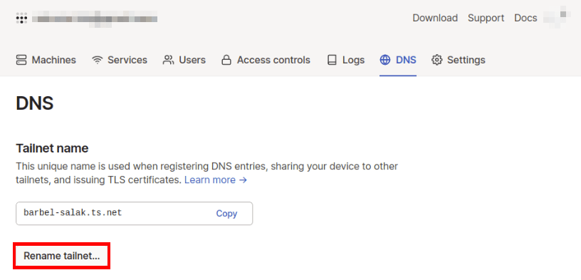 Снимок экрана, на котором выделена кнопка «Переименовать Tailnet».