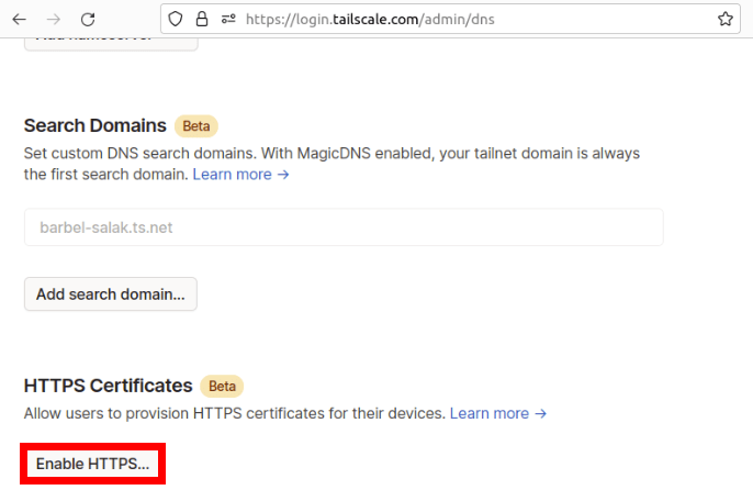 Снимок экрана, показывающий опцию HTTPS для хостов Tailscale.