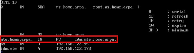 Терминал, показывающий записи DNS для mte.home.arpa. сеть.
