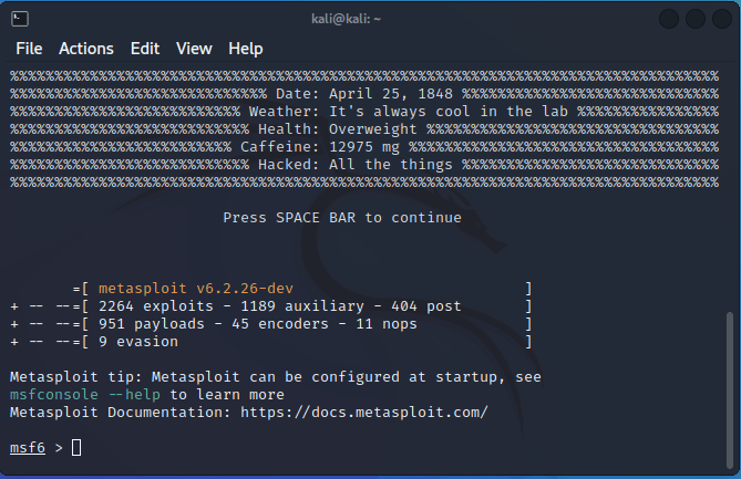 Установите образец Metasploit Kali Linux 04
