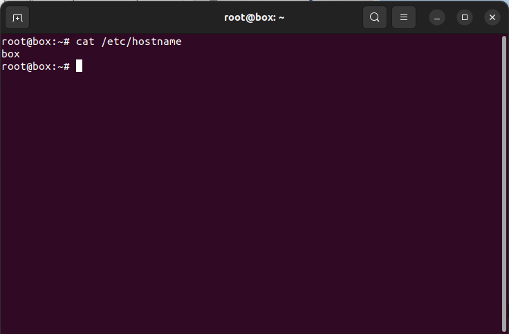 Окно терминала, показывающее содержимое /etc/hostname.