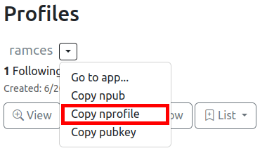 Снимок экрана, показывающий ссылку «Копировать nprofile» для пользователя ramces.