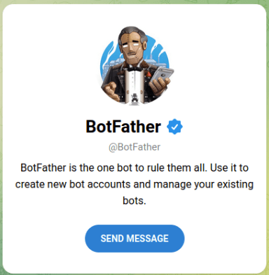 Снимок экрана, показывающий начальное приглашение для BotFather.