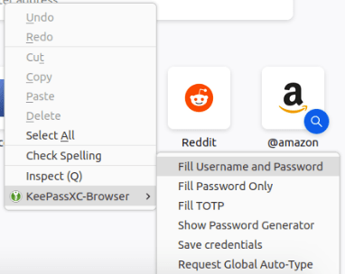 Снимок экрана, показывающий расширение KeePassXC, работающее в браузере.