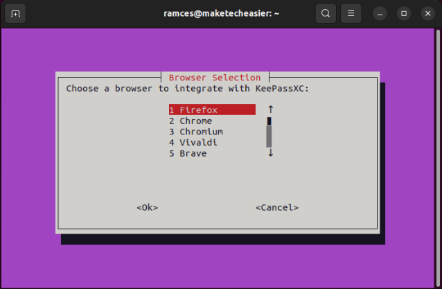 Терминал, показывающий список поддерживаемых браузеров для KeePassXC.