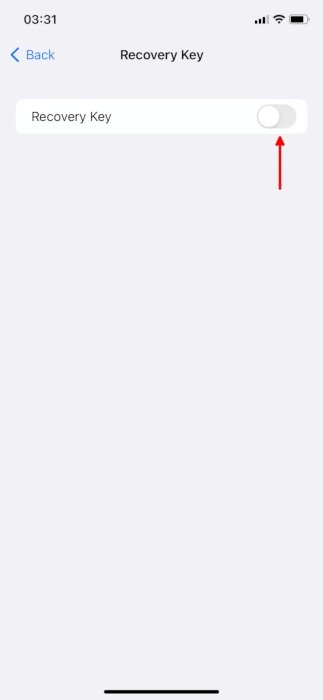 Функции конфиденциальности iPhone Переключатель ключа восстановления