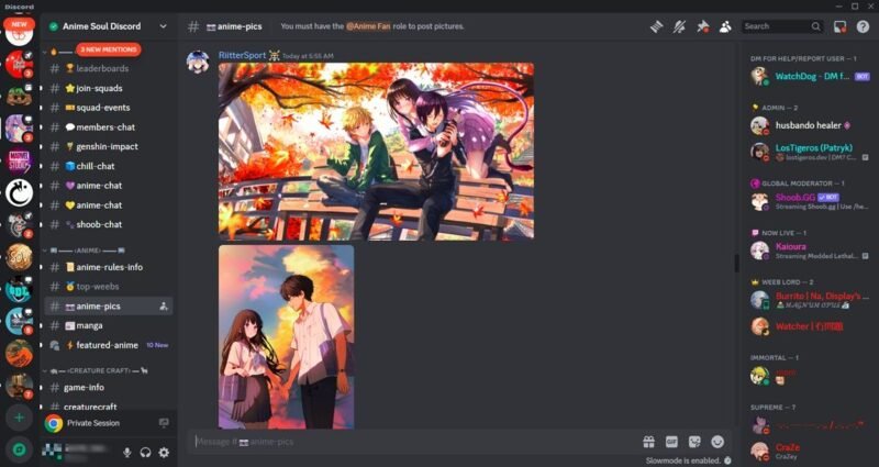 Вид сервера Anime Soul на Discord.