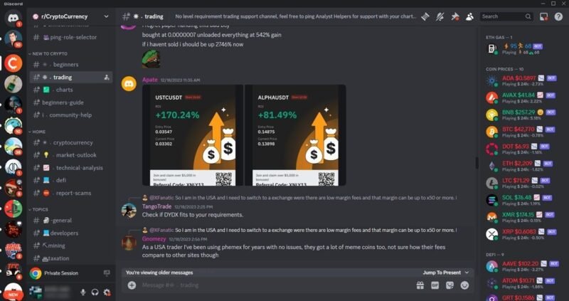 Представление сервера CryptoCurrency в Discord.