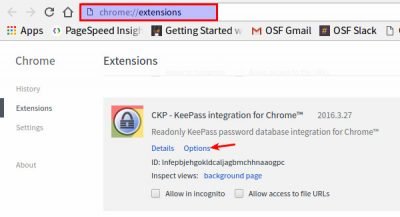 Keepass-chrome-ckp-опции-1