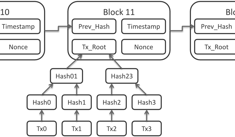 Данные блока Lightning Network