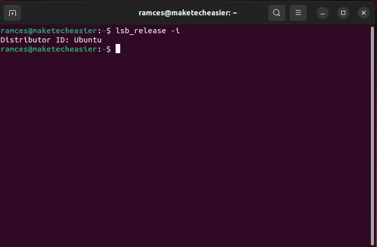 Терминал, показывающий выходные данные lsb_release, печатающие название системного дистрибутива.