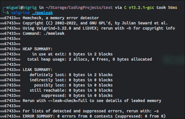 Valgrind обнаруживает утечку памяти в программе.