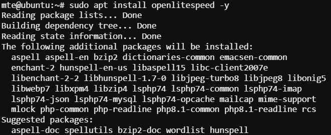 Установка Lomp Stack Openlitespeed