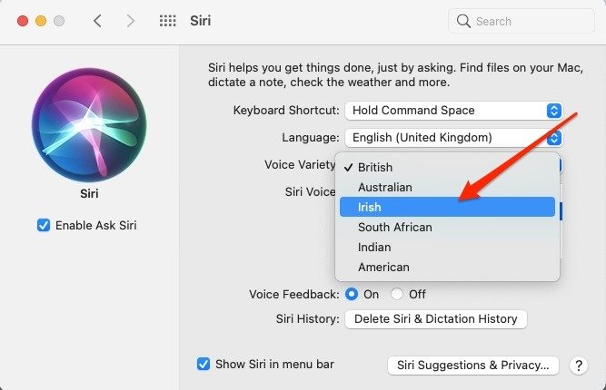 Mac Voice Разнообразие Siri