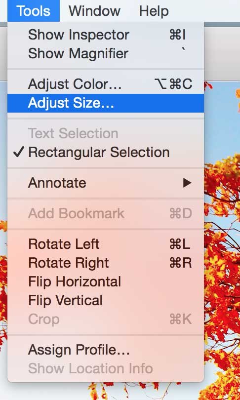 MultipleResize-AdjustSize