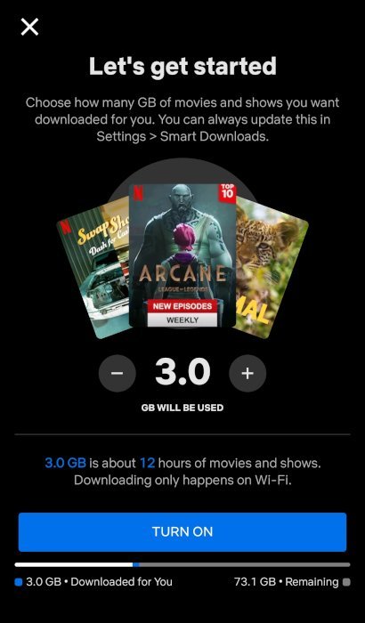 Конфигурация хранилища Netflix Smart Downloads