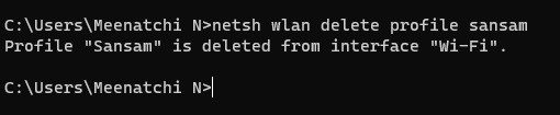 Команда Netsh удалить профиль Wlan Windows