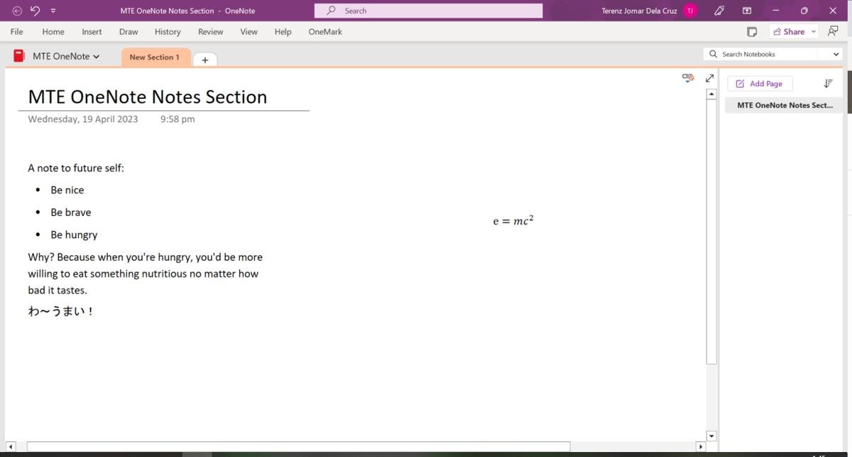 OneNote с текстом на японском языке.