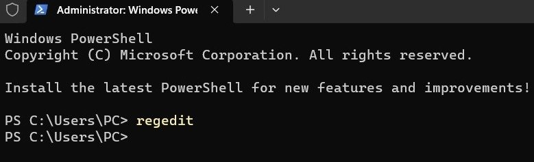 Ввод команды в PowerShell.