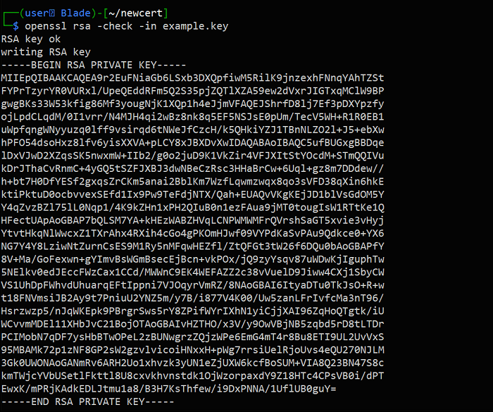 Openssl проверяет закрытый ключ Rsa