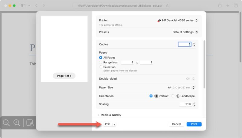 Опция печати PDF на Mac выделена
