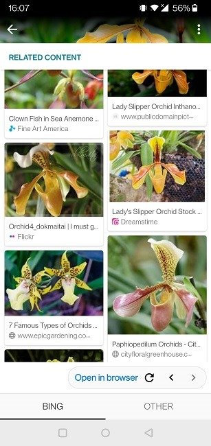 Выполните обратный поиск по изображению Android Sherlock Orchid