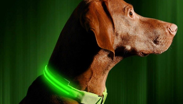 Pet Tech светодиодный ошейник