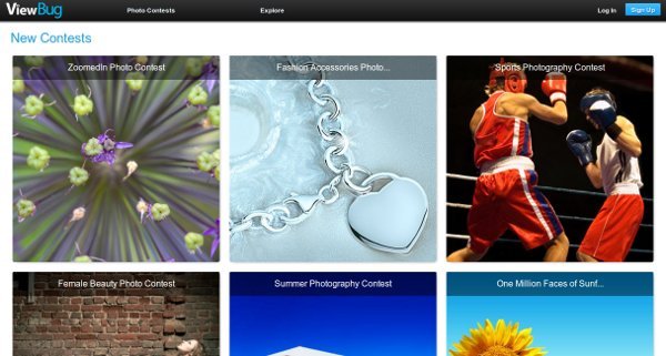 фотоконкурсы-viewbug