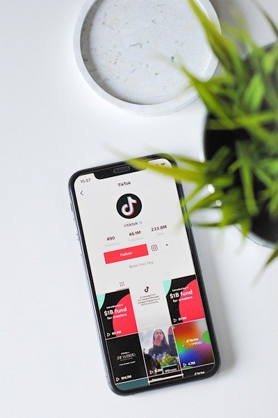 Продажа Tiktok на телефонах государственных служащих